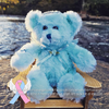 Deluxe Swirl Plush 6" RememBEAR (Baby Blue Or Baby Pink)